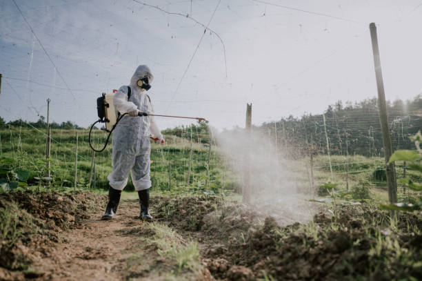 Best Pest Control Cost  in Centerville, GA
