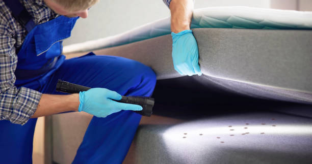 Best Mosquito Control Services  in Centerville, GA