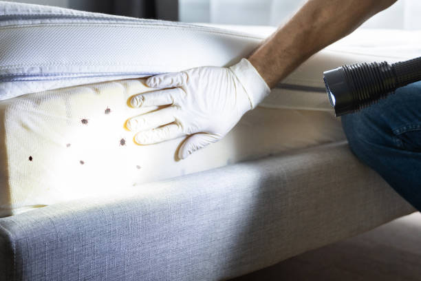 Best Bed Bug Extermination  in Centerville, GA