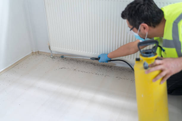 Best Affordable Pest Control Services  in Centerville, GA