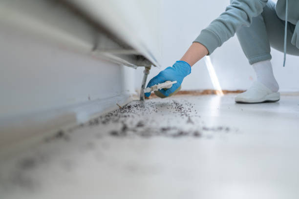 Best Best Pest Control Companies  in Centerville, GA